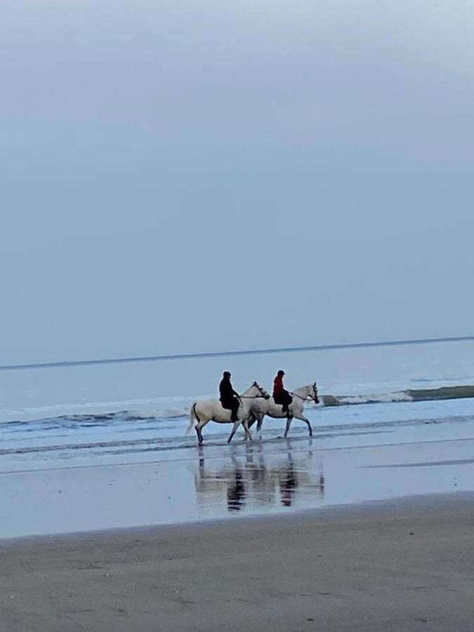 L'Escale A Deauville Luaran gambar