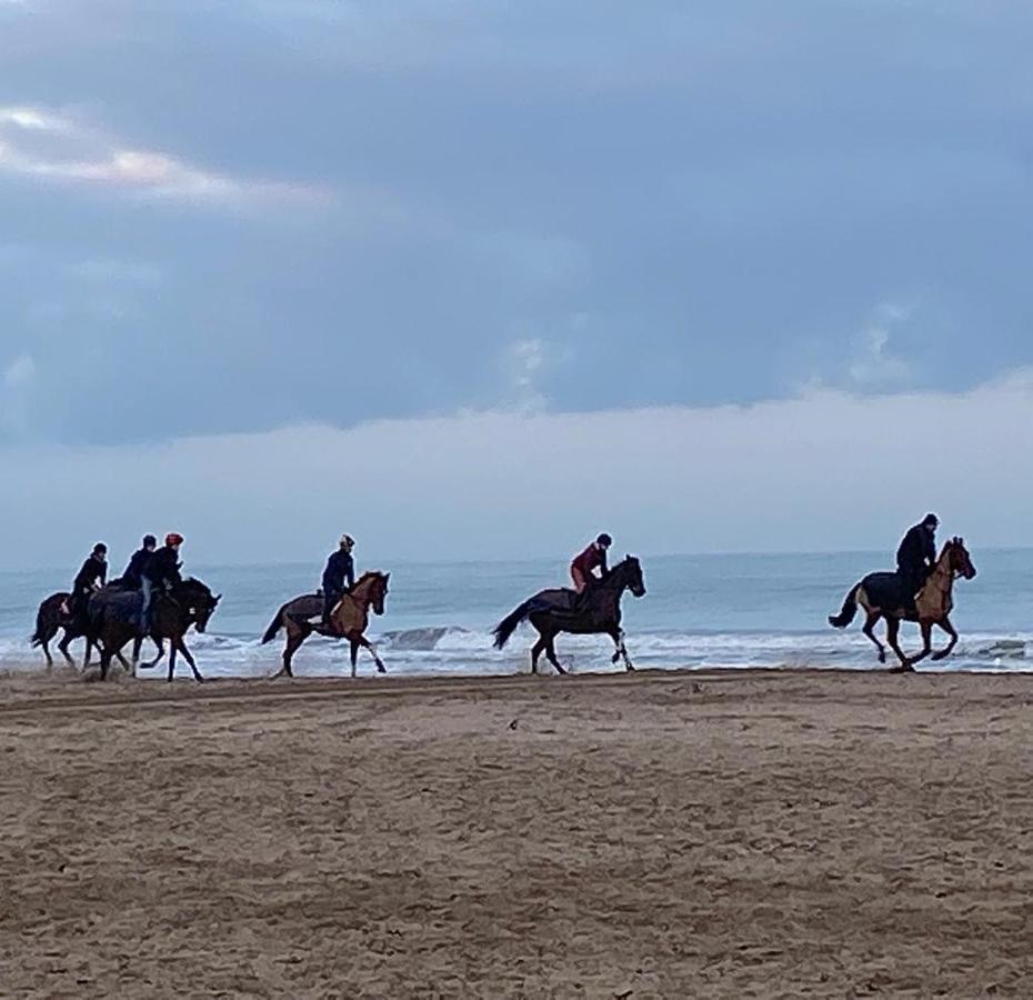L'Escale A Deauville Luaran gambar